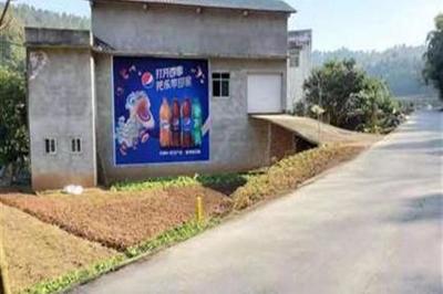 貴州黔西墻體廣告